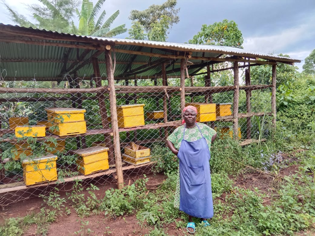 🐝Happy World Bee Day 2025!🐝

🐝Theme: Bee inspired by nature to nourish us all🐝

Today, <a href="/cerealgrowerske/">Cereal Growers Association</a>, along with its supporting partner Farm to Market Alliance (FtMA) Kenya, proudly joins the global community in celebrating the vital role that bees and other pollinators