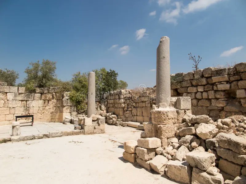 PrensaLatina_cu's tweet photo. La #ONG #PazAhora condenó las excavaciones israelíes 🇮🇱 en el sitio arqueológico de #Sebastia 🇵🇸
Más en #PrensaLatina
🔗https://t.co/l2eUaGvzQ9 https://t.co/DeYkNIHdfB