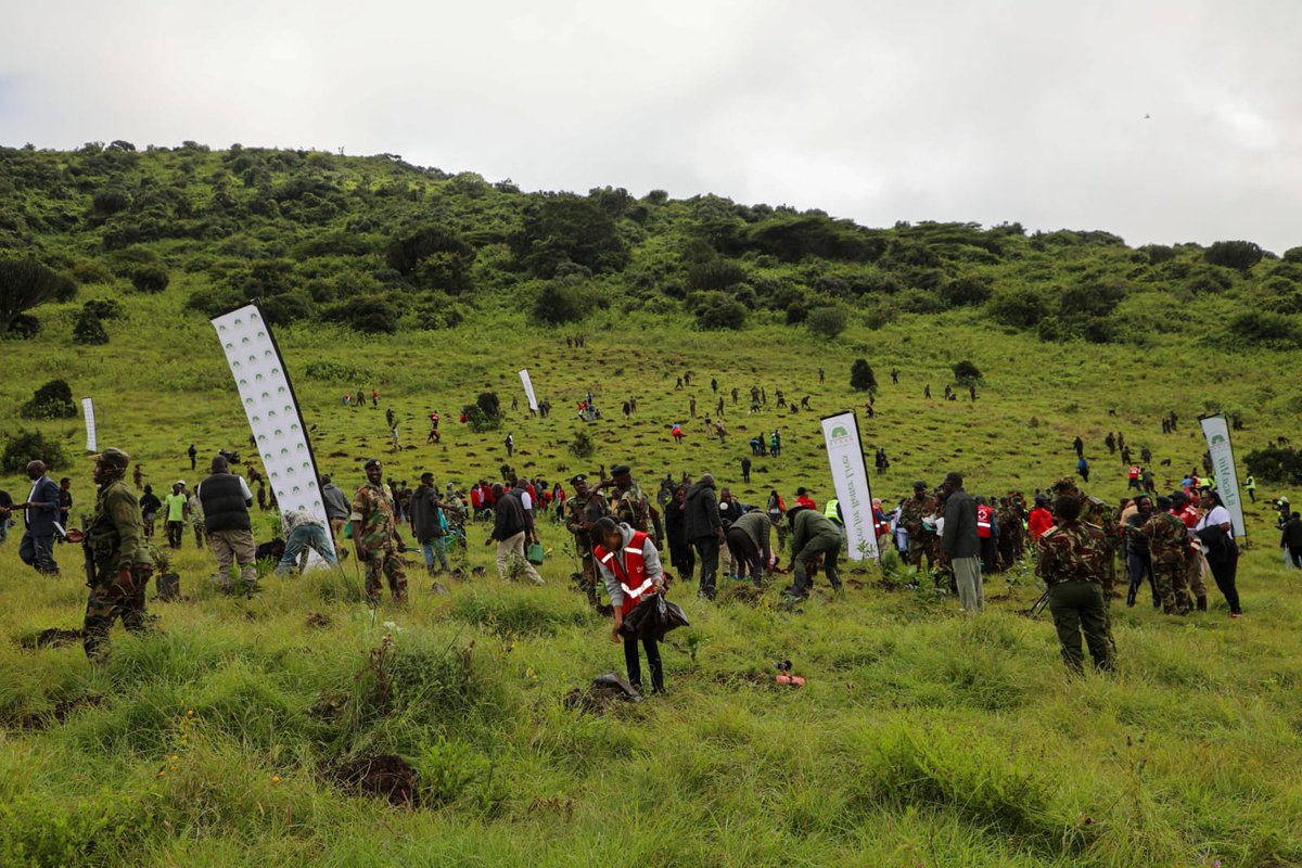 Government Leads Tree Planting Drive to Restore Ngong Forest Ecosystem

The Principal Secretary for <a href="/EnviClimateC_Ke/">State Dept For Environment & Climate Change</a>, <a href="/Eng_F_Ngeno/">Dr. Eng. Festus K. Ng’eno, MIEK, CBS</a>, today led a major tree planting exercise at Corner Baridi, Ngong Forest. The event, organized by the <a href="/Environment_Ke/">Ministry of Environment, Climate Change & Forestry</a>, in collaboration with key