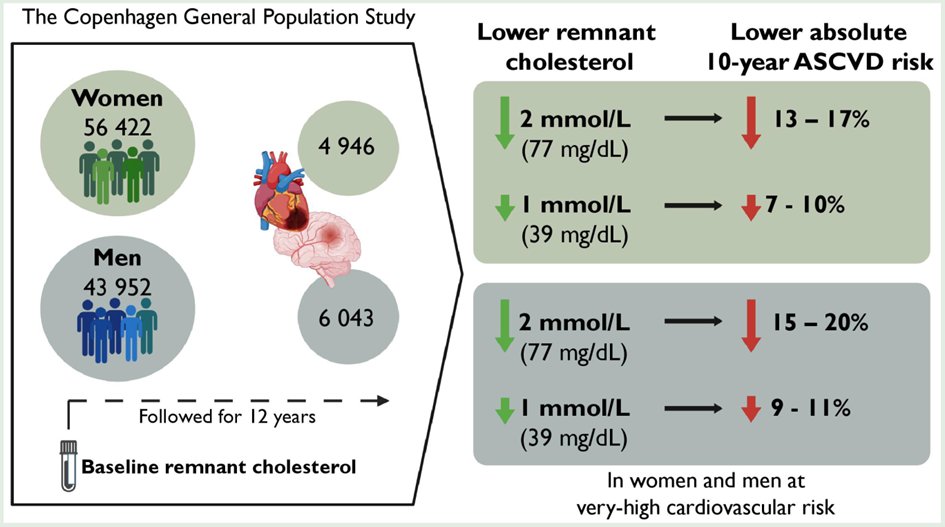 Borge G Nordestgaard (@bnordestgaard) on Twitter photo Huge potential for ASCVD reduction: in women and men a 2 mmol/L (77 mg/dL) lower remnant cholesterol likely reduce 10-year risk of ASCVD by 13–17% & 15–20%, more in statin users than in non-users
academic.oup.com/eurjpc/advance…
Karen Hvid et al use modelling in CGPS & publish in EJPC Huge potential for ASCVD reduction: in women and men a 2 mmol/L (77 mg/dL) lower remnant cholesterol likely reduce 10-year risk of ASCVD by 13–17% & 15–20%, more in statin users than in non-users
academic.oup.com/eurjpc/advance…
Karen Hvid et al use modelling in CGPS & publish in EJPC