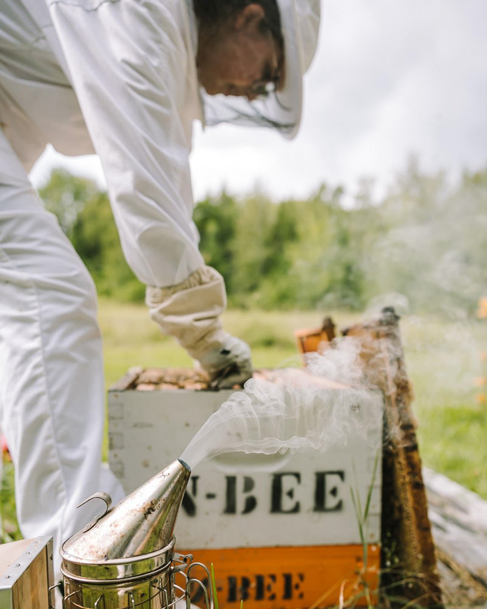 AlimentsNB's tweet image. Bonne Journée des abeilles! 🐝🍯🌸

Aujourd’hui, nous célébrons le rôle vital que jouent les abeilles dans notre magnifique province.  Étiquetez votre rucher local préféré dans les commentaires.

#achetezlocalpourdebon #journéeinternationaleabeill