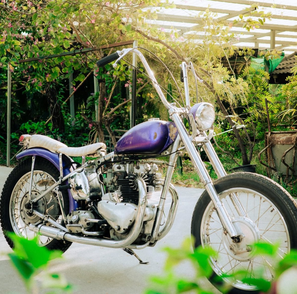 LowbrowCustoms's tweet photo. Triumph Tuesdays with this 1953 Pre-unit chop from @fatboydesign_kustom Love a good purple chop! #choppershit #triumphs #triumphchopper #preunit #vintagetriumphs #triumphchopper https://t.co/nn7is3qVMQ