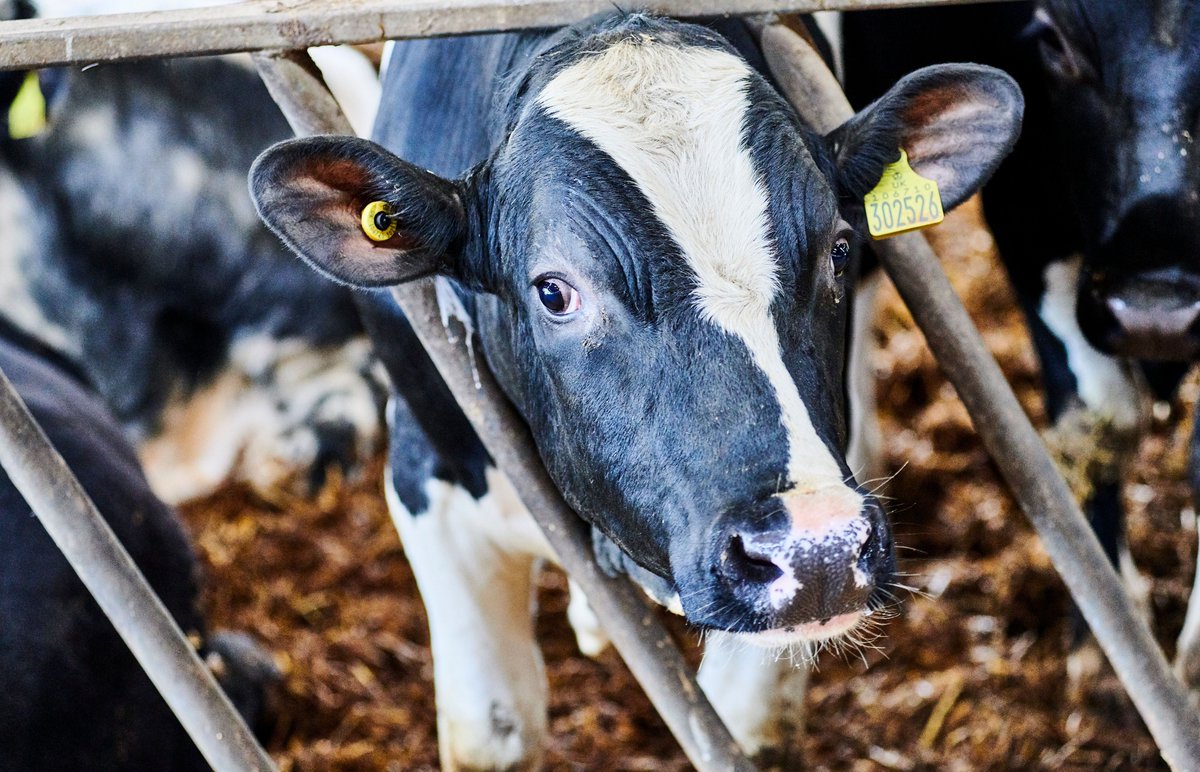 Faculty of Science, Agriculture & Engineering (@sage_ncl) on Twitter photo .<a href="/UniofNewcastle/">Newcastle University</a> is number 1 in the world for #RuralDevelopment research and impact. Congratulations to @Sally_shortall and <a href="/MarkShucksmith/">Mark Shucksmith</a> from <a href="/SciencesNCL/">Sciences at Newcastle</a> who are ranked in the world's top 5 in the field.
See more: tinyurl.com/bdhu4m7z .<a href="/UniofNewcastle/">Newcastle University</a> is number 1 in the world for #RuralDevelopment research and impact. Congratulations to @Sally_shortall and <a href="/MarkShucksmith/">Mark Shucksmith</a> from <a href="/SciencesNCL/">Sciences at Newcastle</a> who are ranked in the world's top 5 in the field.
See more: tinyurl.com/bdhu4m7z
