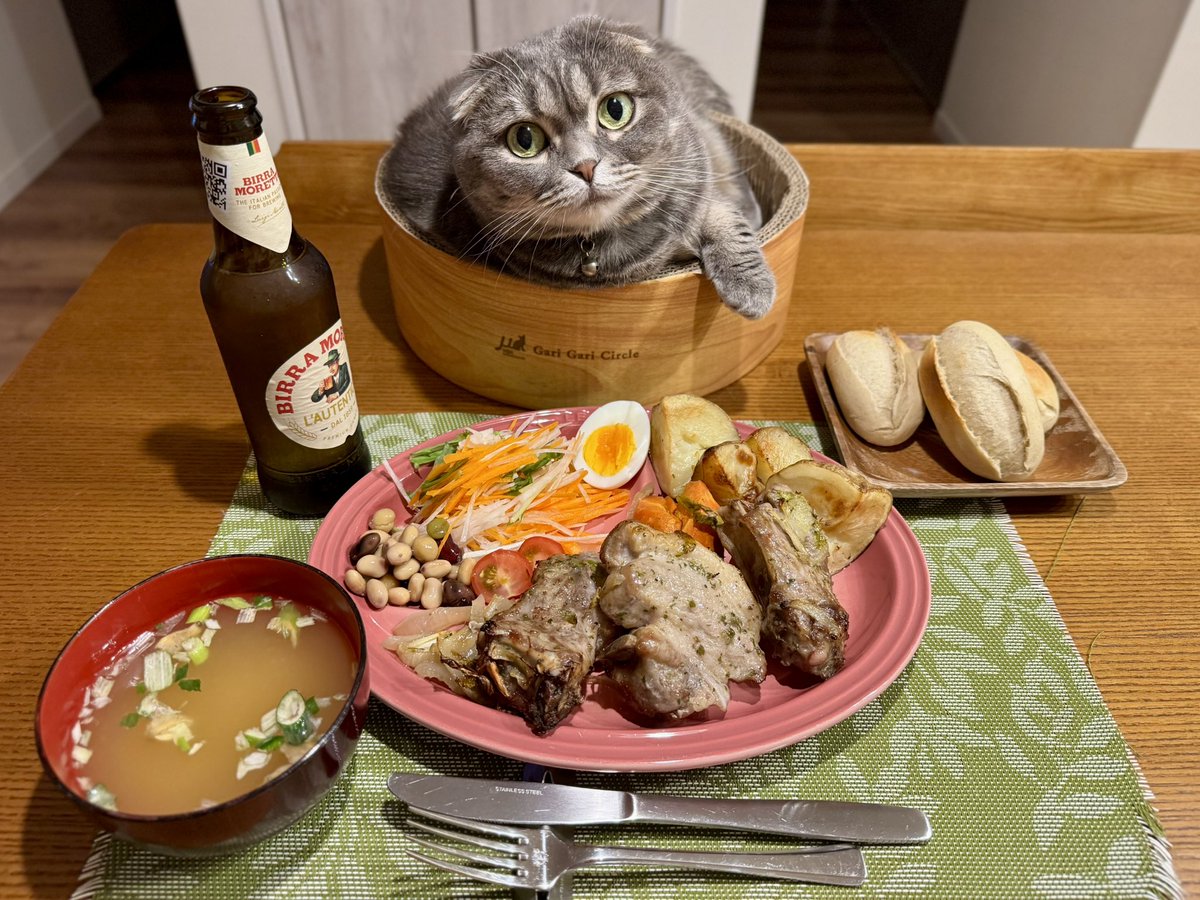 ndTu67XYaawnA2U's tweet photo. スペアリブのオーブン焼きと猫達
Oven-Baked Spare Ribs & Cats
#猫 #スコティッシュフォールド #スペアリブのオーブン焼き #モレッティビール
#cat #scottishfold #ovenbakedspareribs #morettibeer https://t.co/FdvEx4od7f