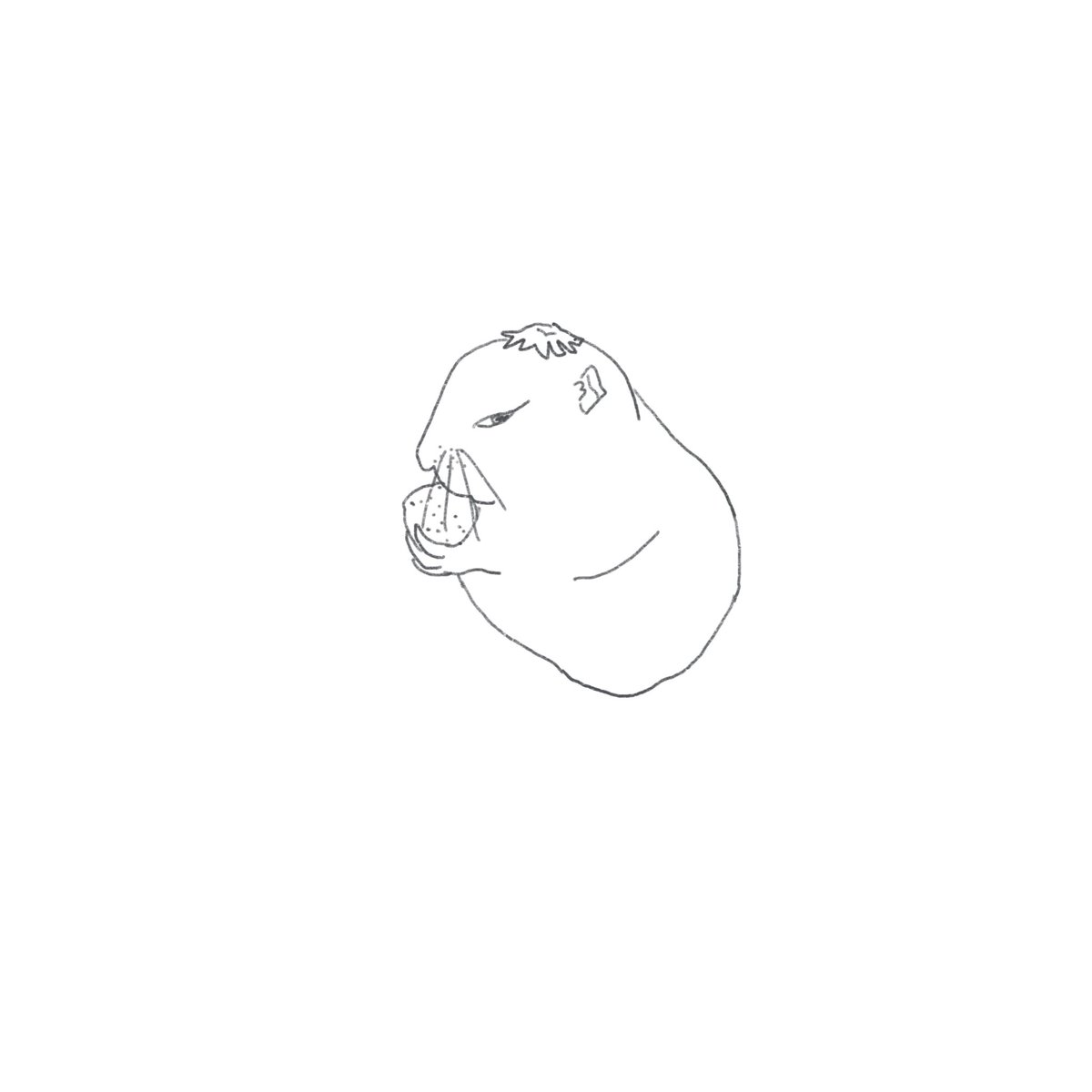 fluffyline_'s tweet photo. https://t.co/8AVKlnJszr