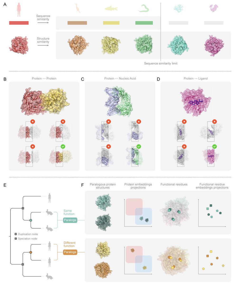 Predicting Protein Function in the AI and Big Data Era

１．This perspective provides a comprehensive overview of how deep learning and big data are reshaping the prediction of protein function—transitioning from homology-based inference to AI-driven structural and interaction