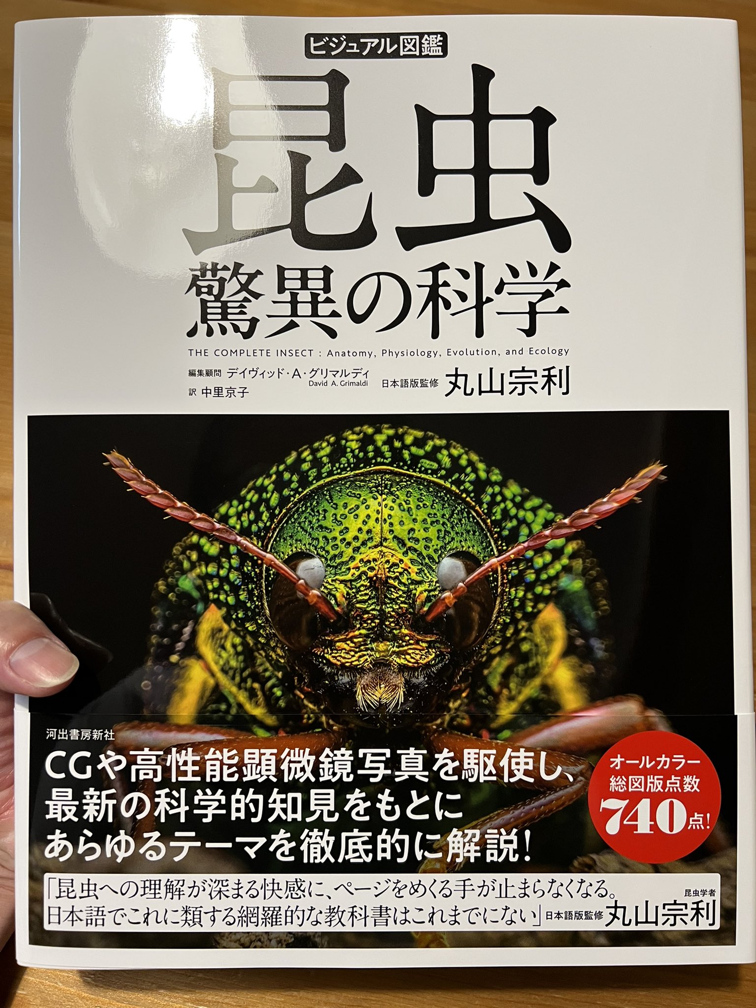 謎と驚異の科学 マルケシマン on X: 