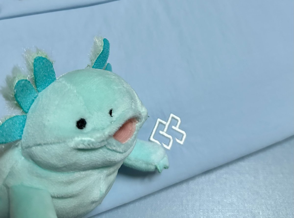 こんな子が来てくれました！10㎝ランコミちゃんと同じくらいのサイズ感🤭なんとも言えないお腹のぷにぷにって感じと、う〜って開いたお口がかわいい😆