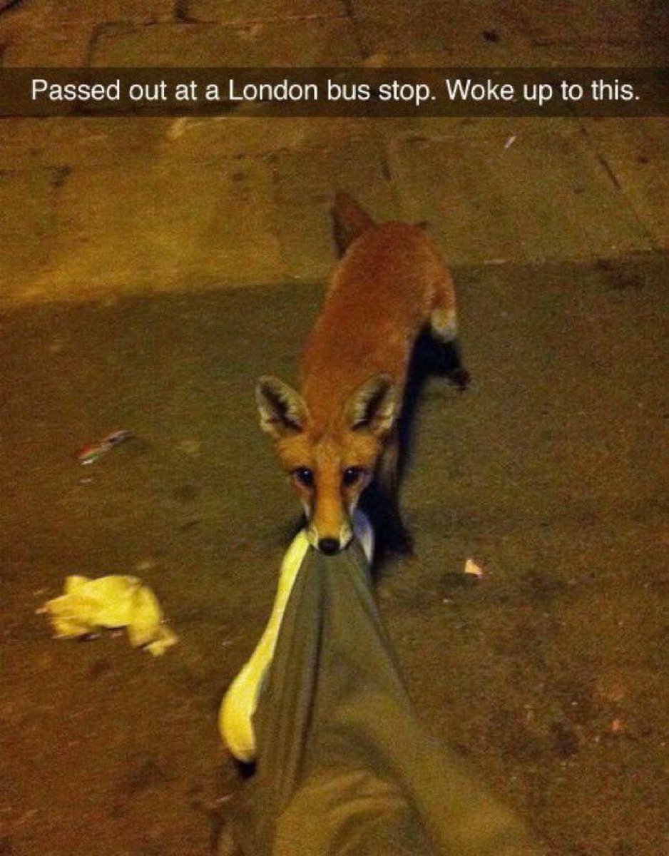 Casual UK (@casualuk_) on Twitter photo 