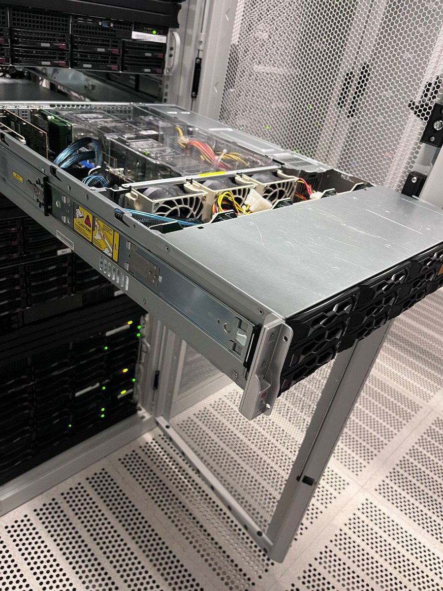 zylon internet tweet media