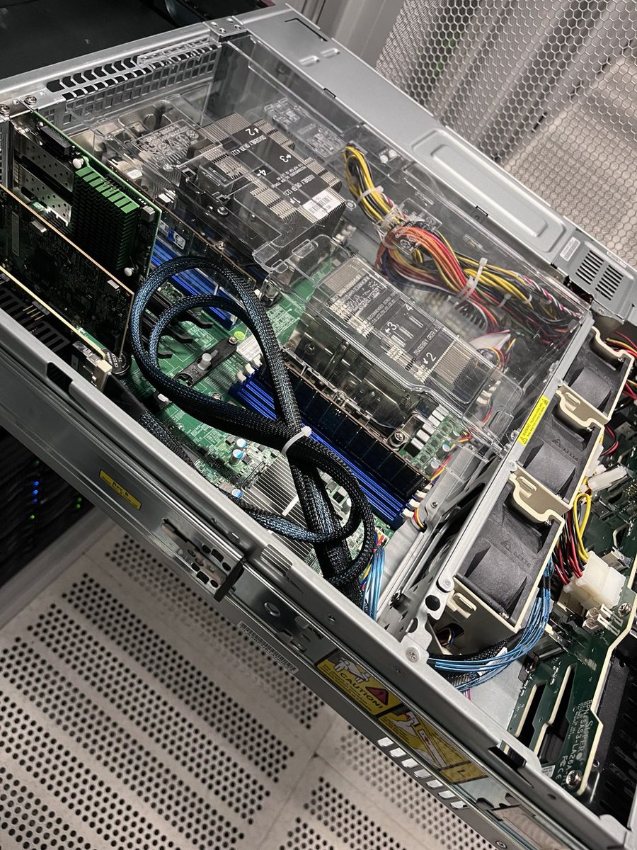 zylon internet tweet media