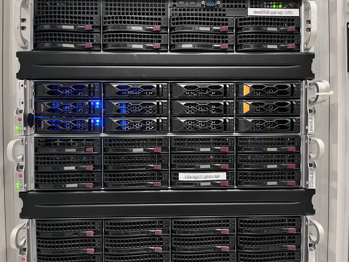 zylon internet tweet media