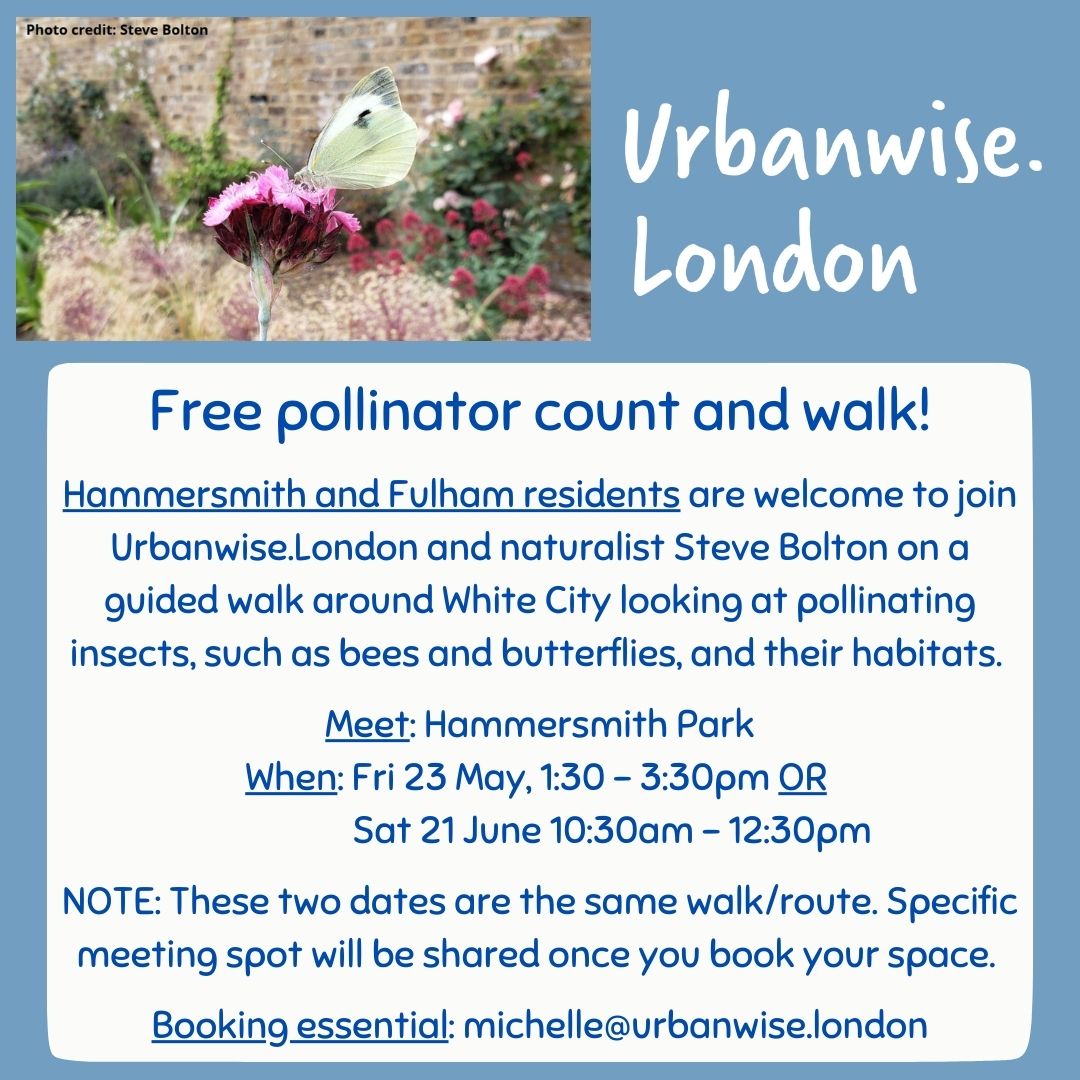 There are spaces to join our FREE guided pollinator walk and count (slow to moderate pace) in White City this Friday, 1:30-3:30pm.
Meet: Hammersmith Park 
Booking essential: michelle@urbanwise.london
<a href="/HCGAGardens/">HCGA</a> <a href="/LBHF/">H&F Council</a> #DiscoverYourLondon