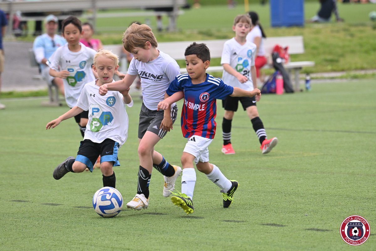tocajuniorsfc's tweet photo. ⚽️ U8 Boys #RAVENS
🏆 SAM Select League
@SAMSoccer06
📅 Sunday, May 17, 2025
📍 Maryland Soccerplex (#19B)
🔵🔴 #WeAreToca #TOCA #tocajuniors #PLAYsimple #Futbol #Football #soccer #soccerlife #springseason #springsoccer #Boys #soccerforboys #SAMsoccer #SAMselect #Maryland #FairPlayPlease