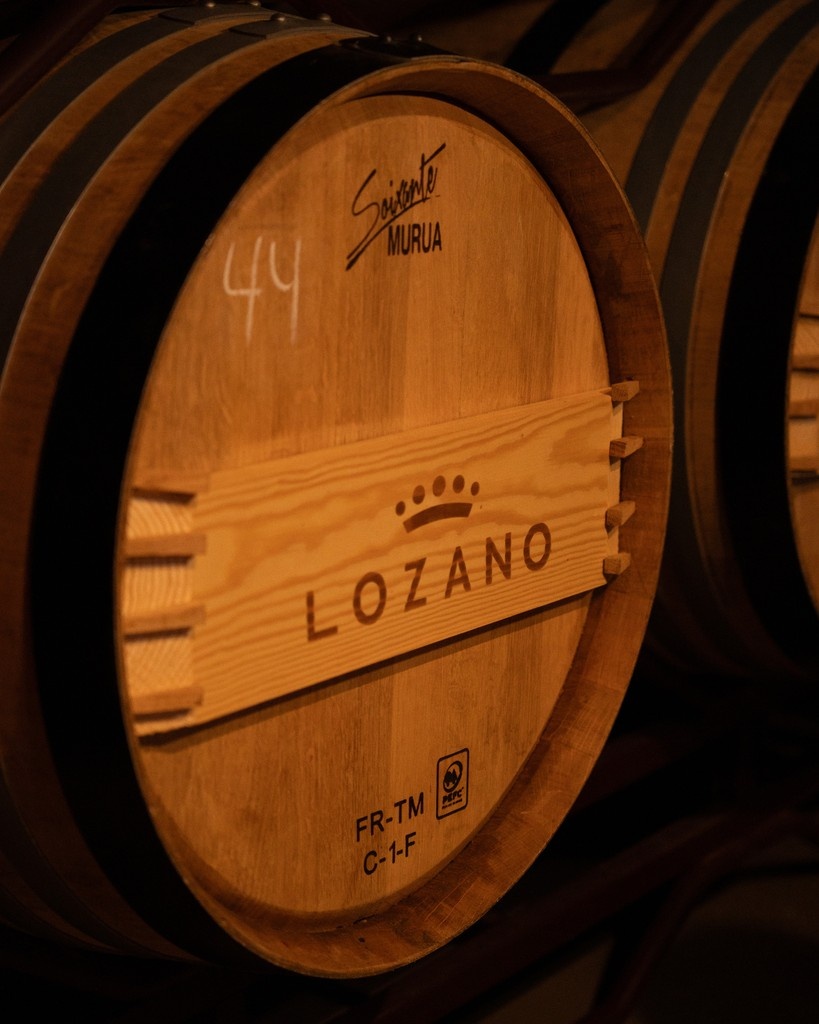 BodegasLozano's tweet photo. 🍷Montes de Leza Edición Limitada 2022 tiene una crianza de 15 meses en barrica de roble francés y americano.

✨Esto le aporta una complejidad aromática y estructura muy especial. El paso por barrica también suaviza los taninos y estabiliza el color. https://t.co/vEPX88zh7o