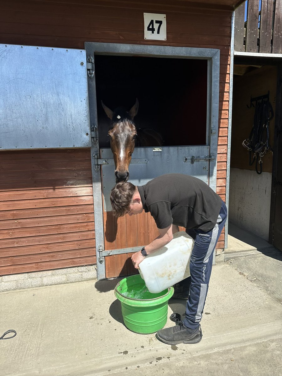 TeamKeighley (@keighleyteam) on Twitter photo Pike Road is all settled in <a href="/HexhamRaces/">Hexham Racecourse</a> & we even brought his favourite Cotswold Spring water with us! Companion 16 year old Mr Mafia quite likes the look of the gorgeous Hexham fences!
#TeamKeighley #BePartOfIt.
<a href="/FBCManbyBowdler/">FBC Manby Bowdler</a> Pike Road is all settled in <a href="/HexhamRaces/">Hexham Racecourse</a> & we even brought his favourite Cotswold Spring water with us! Companion 16 year old Mr Mafia quite likes the look of the gorgeous Hexham fences!
#TeamKeighley #BePartOfIt.
<a href="/FBCManbyBowdler/">FBC Manby Bowdler</a>