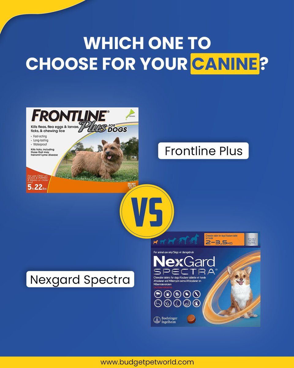 BudgetPetWorld's tweet image. Frontline Plus or NexGard Spectra—what’s better for your dog? 🐶

We break it down so you don’t have to!

👉 budgetpetworld.com/blog/frontline…

#DogCare #FrontlinePlus #NexGardSpectra #PetHealth #BudgetPetWorld