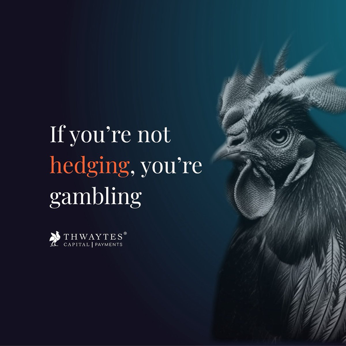 ThwaytesG's tweet photo. We continue to see many businesses leaving themselves exposed to currency risk. 

#BusinessGrowth
#Entrepreneurship
#SMB 
#SMEs
#B2BMarketing
#FinanceTips
#StrategyMatters
#BusinessOwner https://t.co/BjScNyvu0y