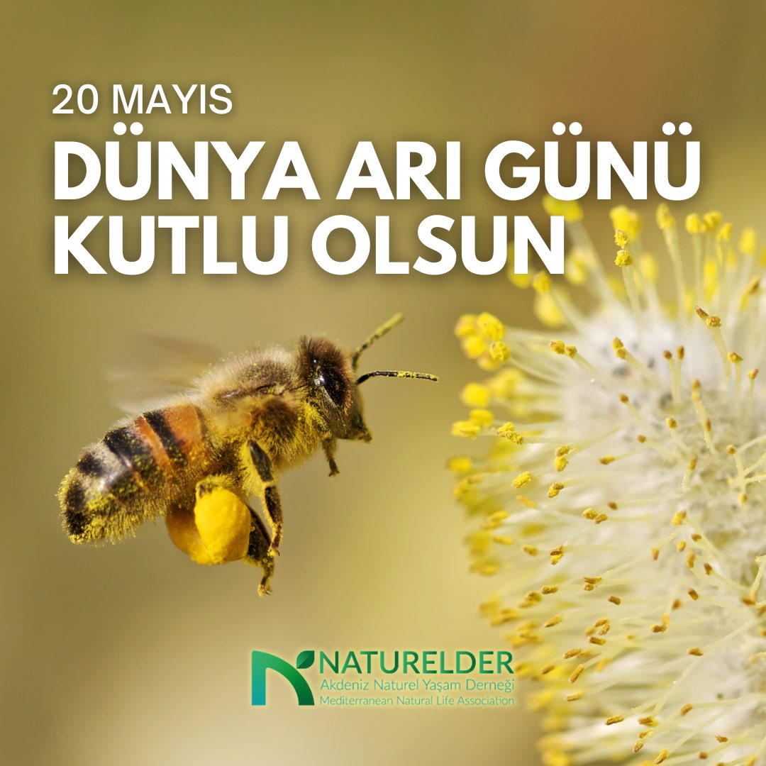 naturelder's tweet photo. https://t.co/gt86yugDoA