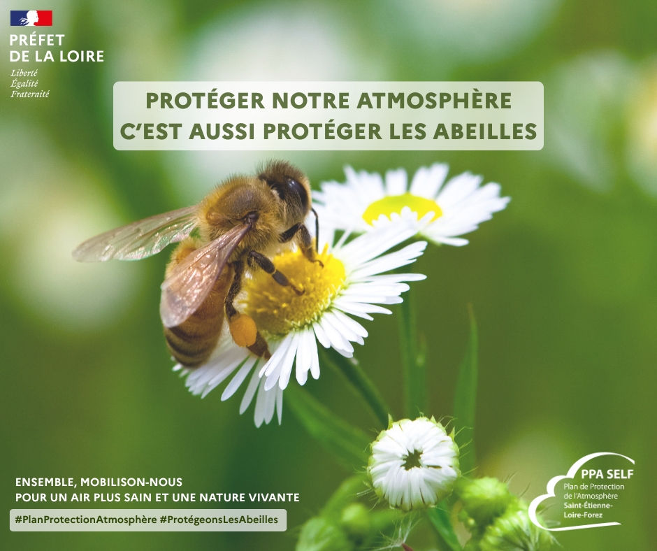 Image de Préfet de la Loire