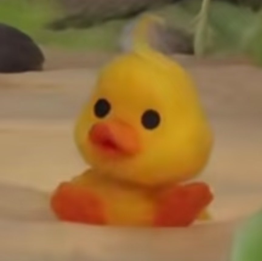 🦆🦆🦆☺️
#RIIZE  #라이즈  #박원빈  #wonbin #원빈 #ウォンビン