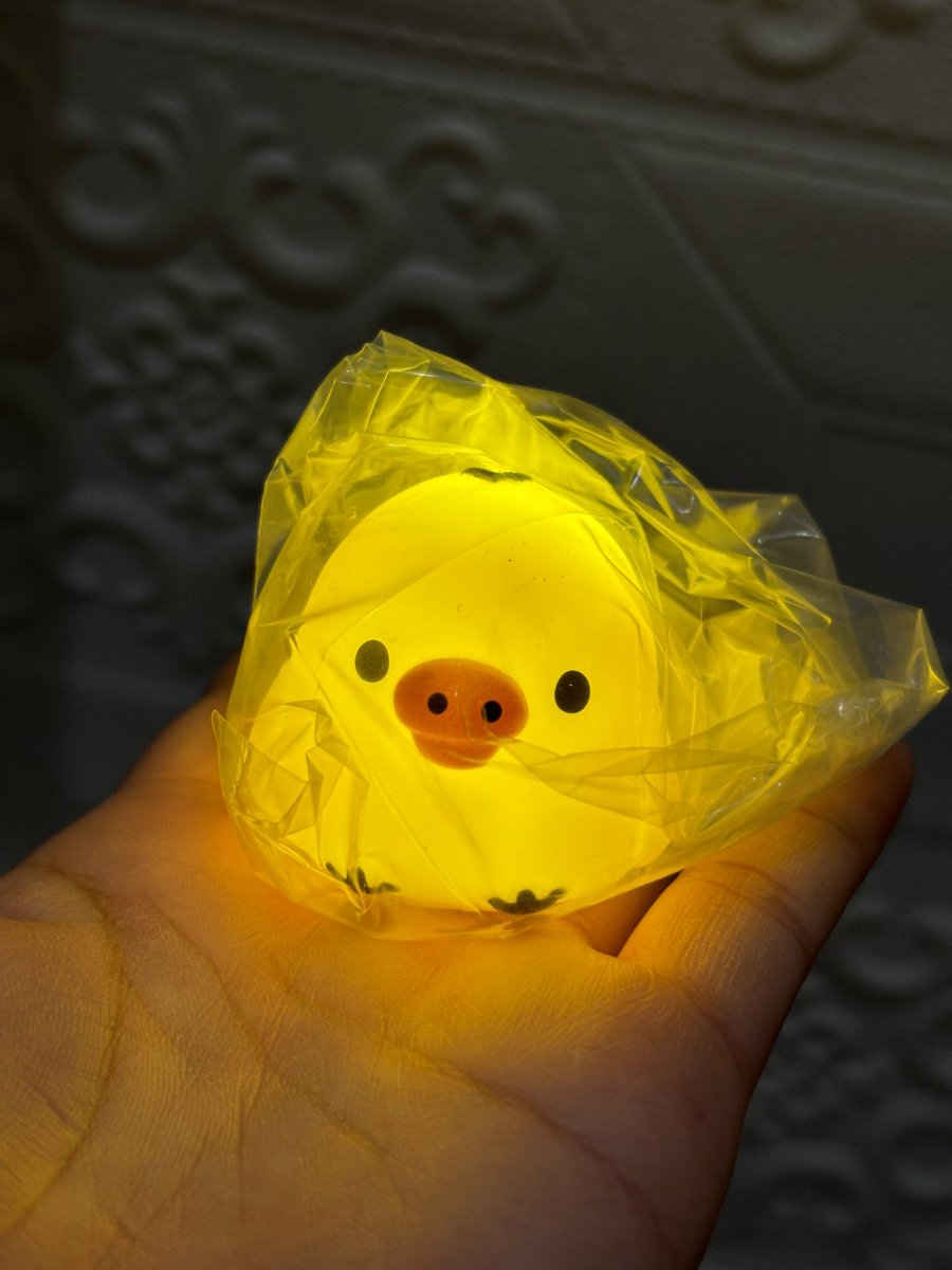 kongqi_'s tweet photo. light 💡 https://t.co/0Ttvronpcj
