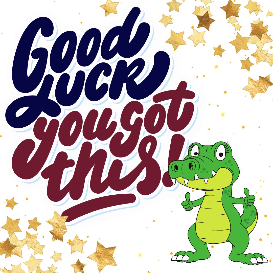 Best of luck on your finals Gators! Finish the year strong! ⭐️🐊🌟💡🤩