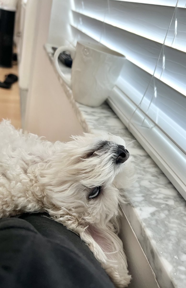 I’m not even going to ask…