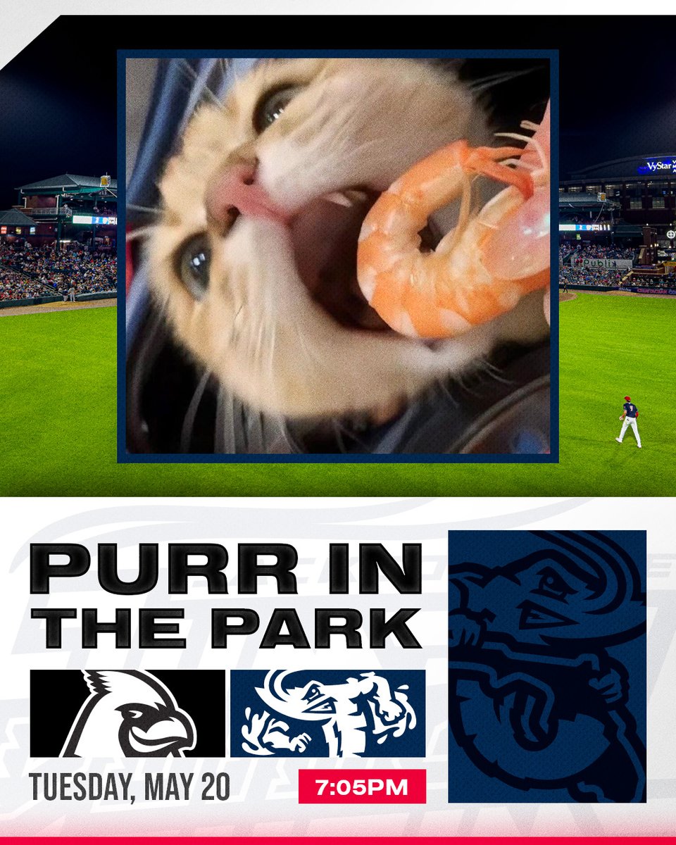 JaxShrimp's tweet image. GAME DAY!  Purr in the Park TONIGHT!  Will we break our all time record of 31 cats in the park?!  Only one way to find out, see you tonight!

Gates open: 6pm
TIX: jaxshrimp.com