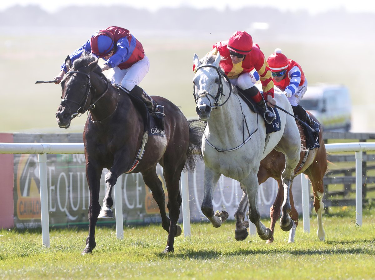 ⭕️ Tattersalls Gold Cup Confirmations ⭕️ Al Riffa Almaqam Anmaat Continuous Crypto  Force Deepone Galen Ghostwriter Los Angeles Royal Rhyme White Birch Kalpana