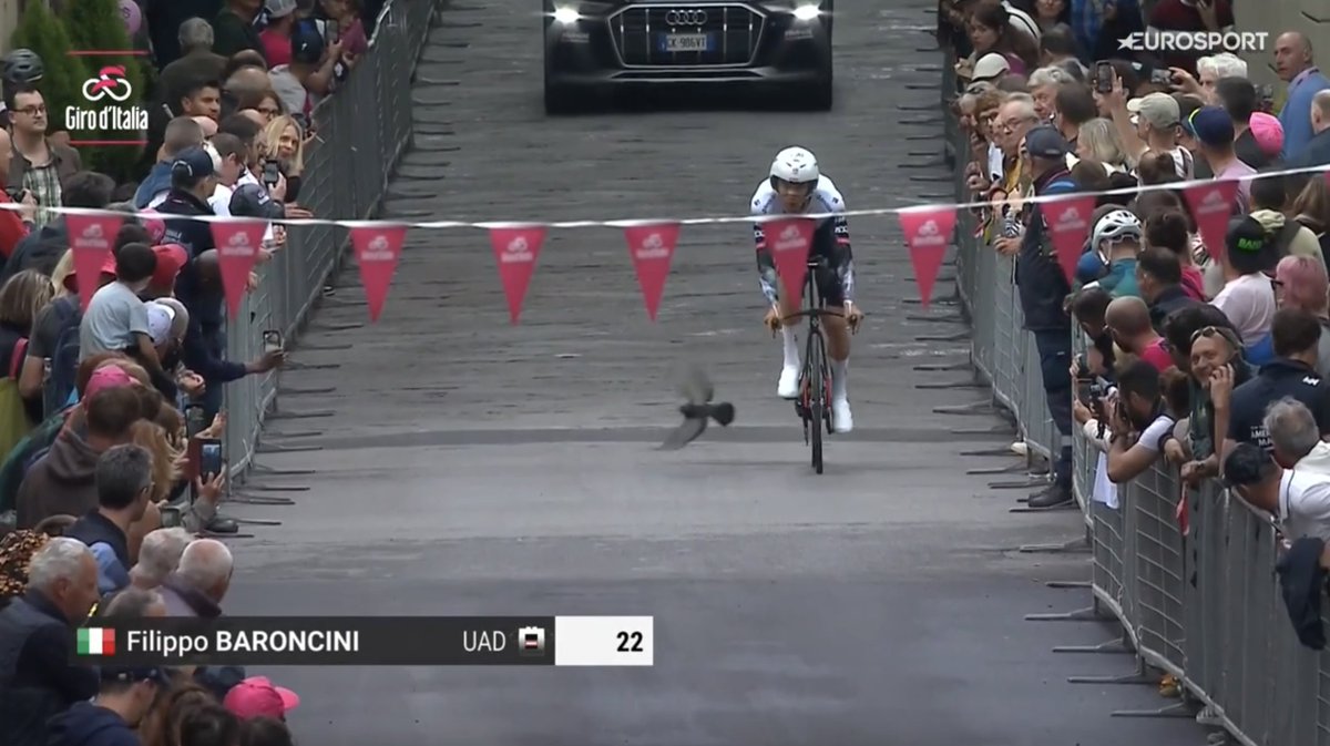 Josselin Riou tweet media