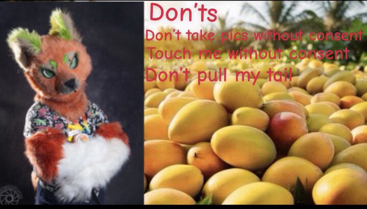 Mangothebean's tweet photo. My does and don’t for cons https://t.co/zkQiQHtYy5