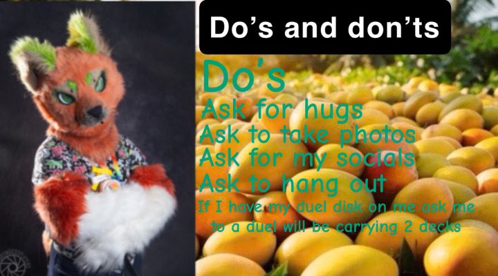 Mangothebean's tweet photo. My does and don’t for cons https://t.co/zkQiQHtYy5