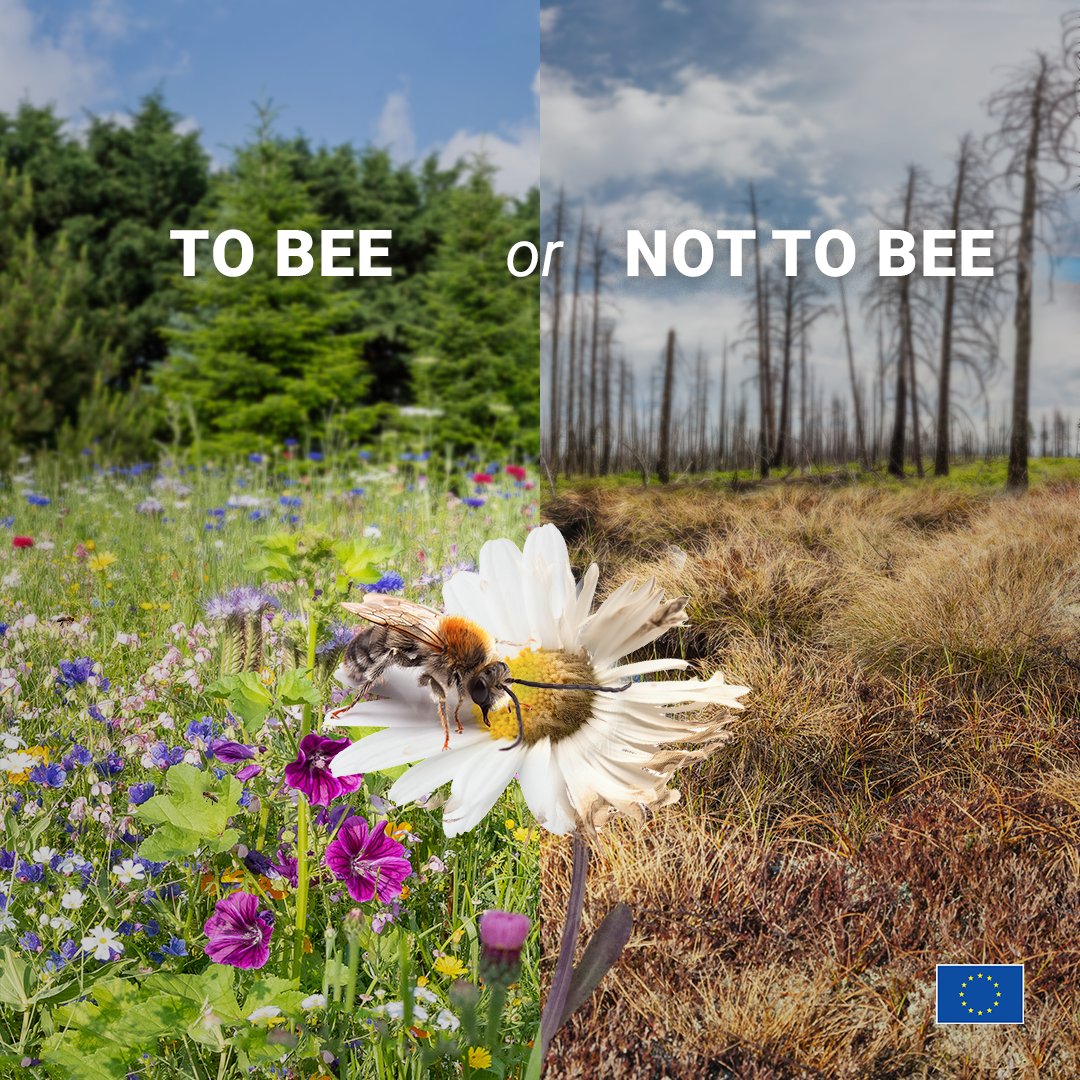 European Commission tweet media