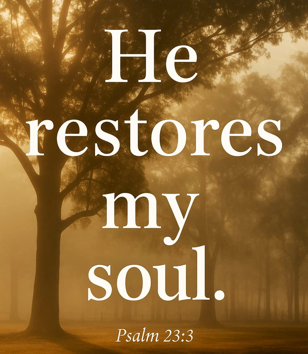 GypsyPatriot_'s tweet photo. Join us tonight for our weekly bible study . This week we will be studying Matthew Chapter 14. Set a reminder below and share! @StudyingGod https://t.co/OzXbWNKL7h