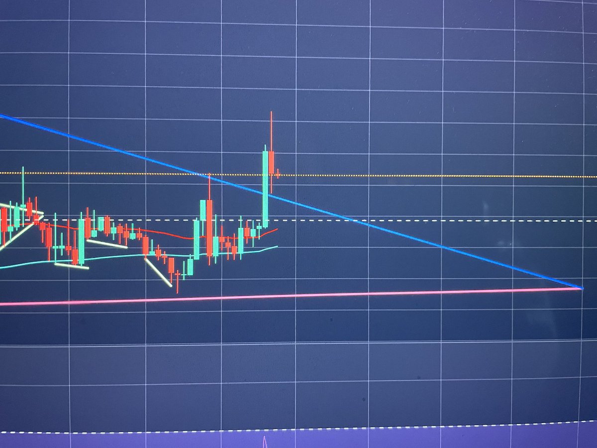 The Ghost With The Most tweet media