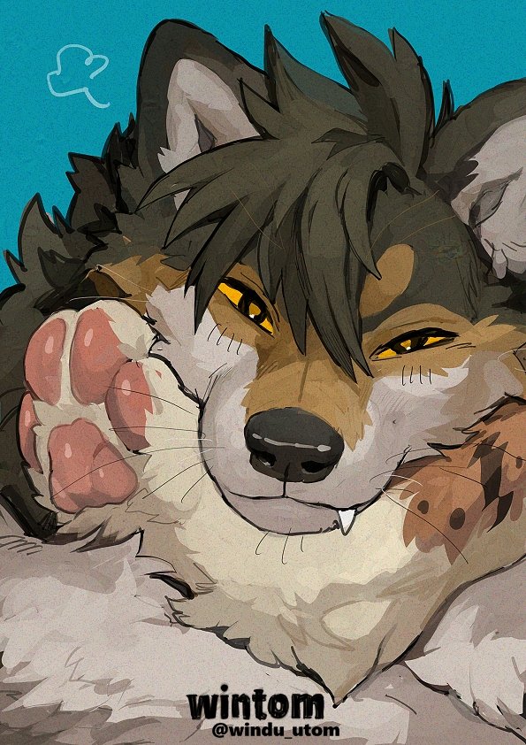 doodle