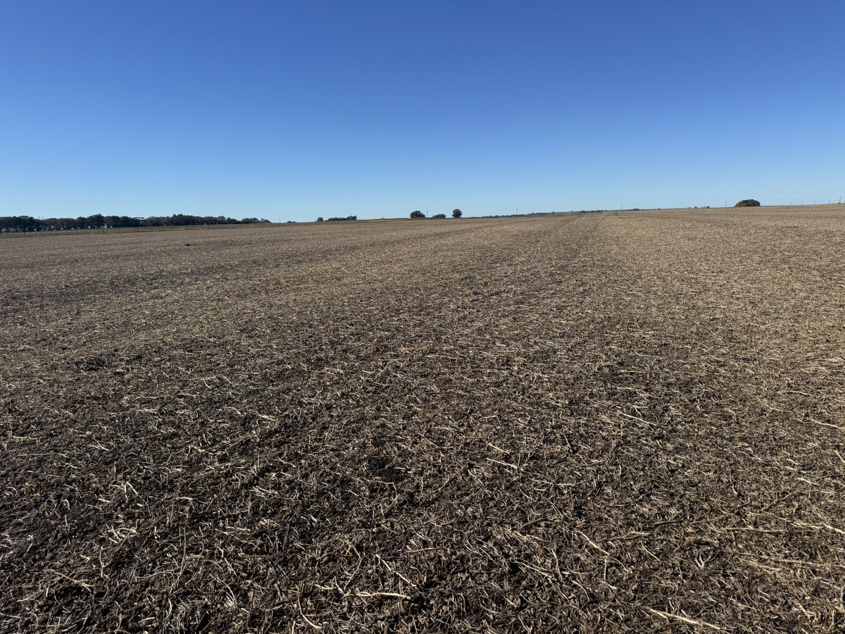 PecoAz's tweet photo. La importancia de las aplicaciones dirigidas, además de la efectividad del control el enorme ahorro de agroquímicos, siendo ambientalmente más eficiente #AplicacionesDirigidas #WeedIt #Malezas #MalezasResistentes https://t.co/KIW9PWrJFm