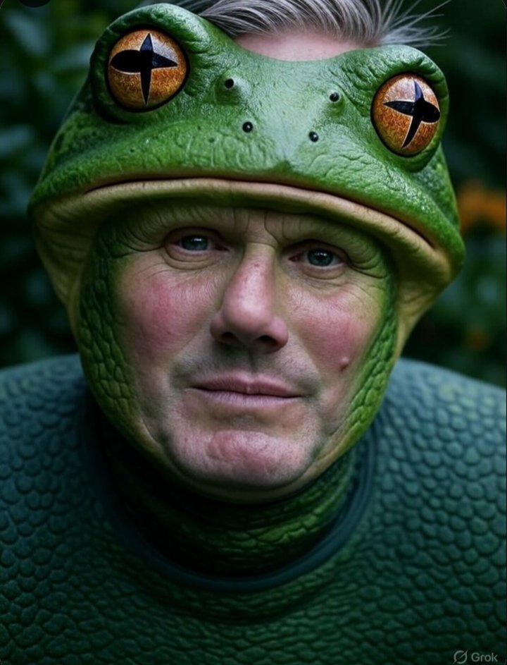 ForestNews_Info's tweet photo. Keir Starmer...

War criminal✅
Grooming enabler✅
Genocide enabler✅
Anti-British✅
Traitor✅
Pathological liar✅
Two-tier hypocrite✅
Crooked✅
Sell-out✅
Bullier of old &amp; disabled✅

What comes to mind when you think of this toad?🐸 #Starmergeddon #StarmerSurrender #StarmerOut https://t.co/z475v8TZ8b