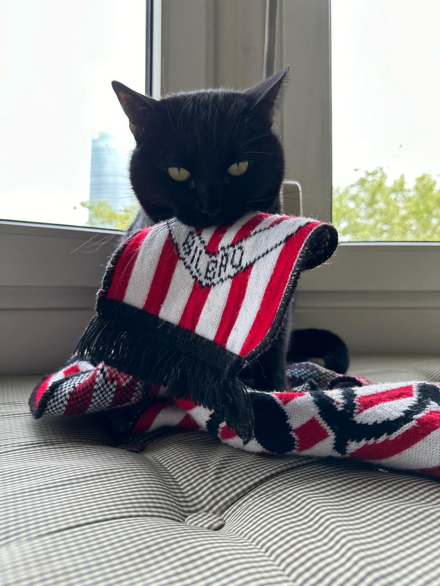 bilbainos's tweet photo. Este miércoles seremos afables anfitriones, deseando que gane el mejor. Pero las banderas rojiblancas colgarán de balcones y ventanas y luciremos nuestras camisetas y bufandas athleticzales todo el día. Que el mundo no olvide dónde se juega la Final. Ongi etorri eta Aupa Athletic https://t.co/6xpMi9BiqM