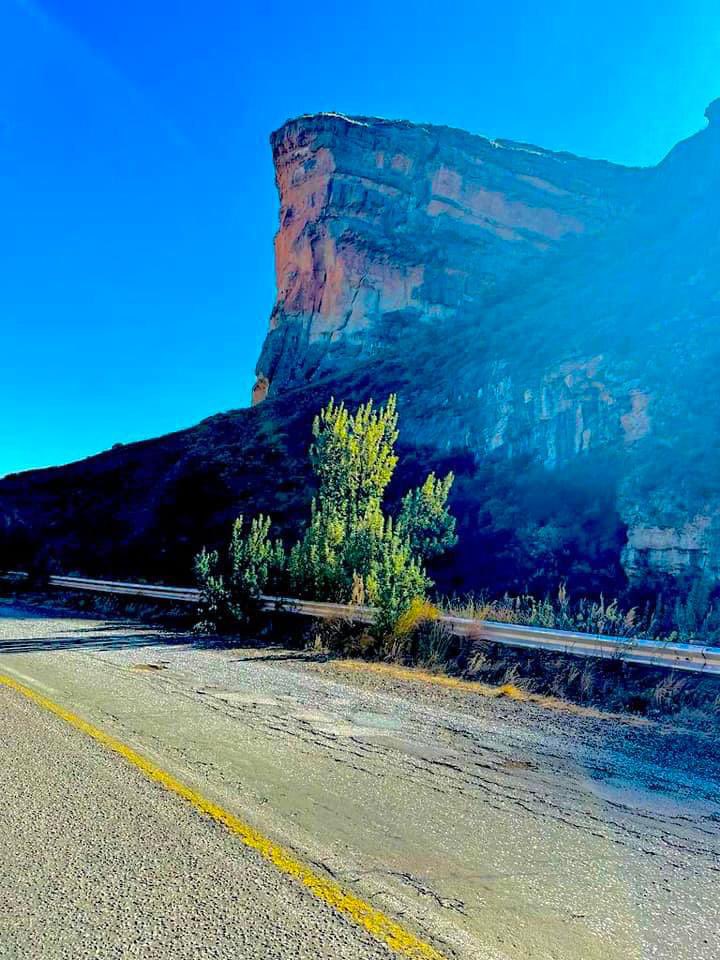 <a href="/Trevor_sidogi/">Trev🔅r Sidogi 🇿🇦</a> Also clarens