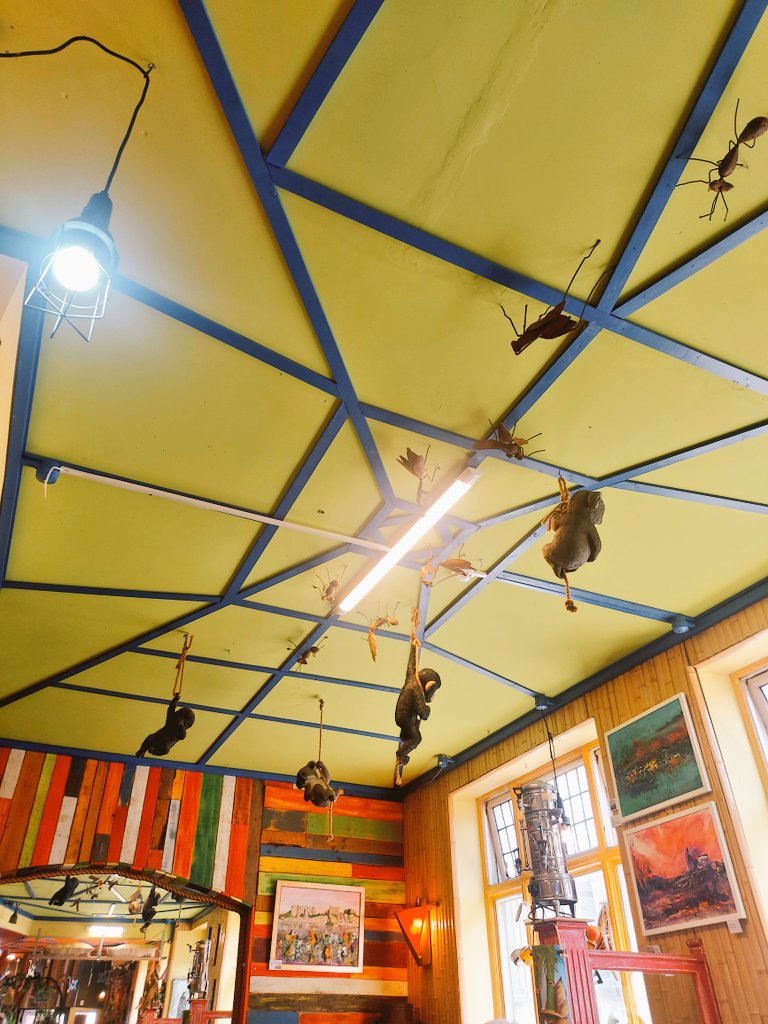 DrKhan_do's tweet image. Having lunch solo - a bit of peace 😌 
You know, you know, you know, it's hard to eat &amp;amp; speak 😄 
Some of us are just inept.
#clumsy