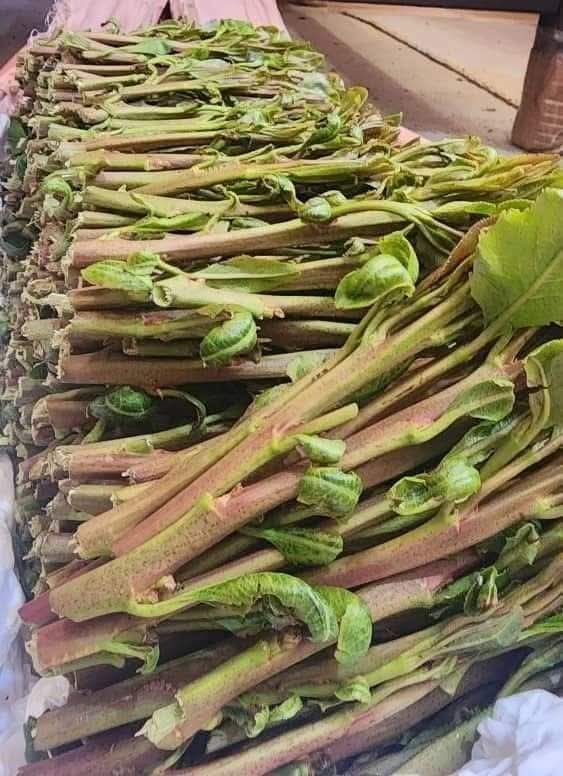 ممكن ولد حلو وناعم في عتق نخزن