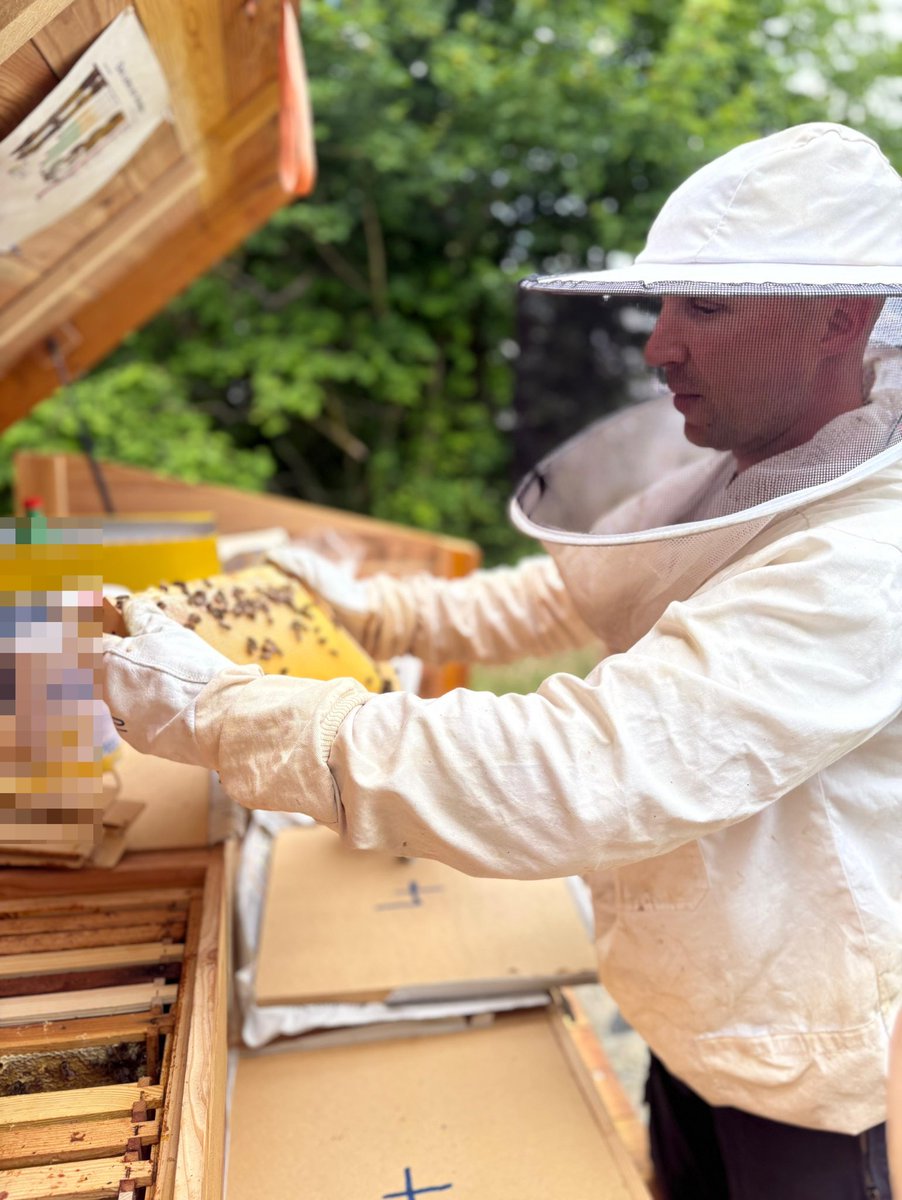 Heute ist #Weltbienentag! 🐝
Auch in der Bundesbereitschaftspolizei summt’s: In #Deggendorf, #BadBergzabern und #Hünfeld engagieren sich Kolleginnen und Kollegen für Artenschutz – mit echten Bienenvölkern.
Denn Klimaschutz beginnt im Kleinen!

#Nachhaltigkeit #Bundespolizei