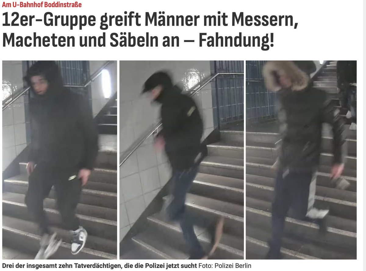 Zwölf „Männer“ – mit Messern und Macheten – greifen "Männer"-Gruppe an - wie Tiere in einem verrohten Dschungel aus Hass. Ein Schlachtfeld mitten in der Hauptstadt, mitten in Deutschland, und niemand stoppt sie. Niemand schreit mehr auf. Es ist Alltag geworden. Blutiger Alltag.
