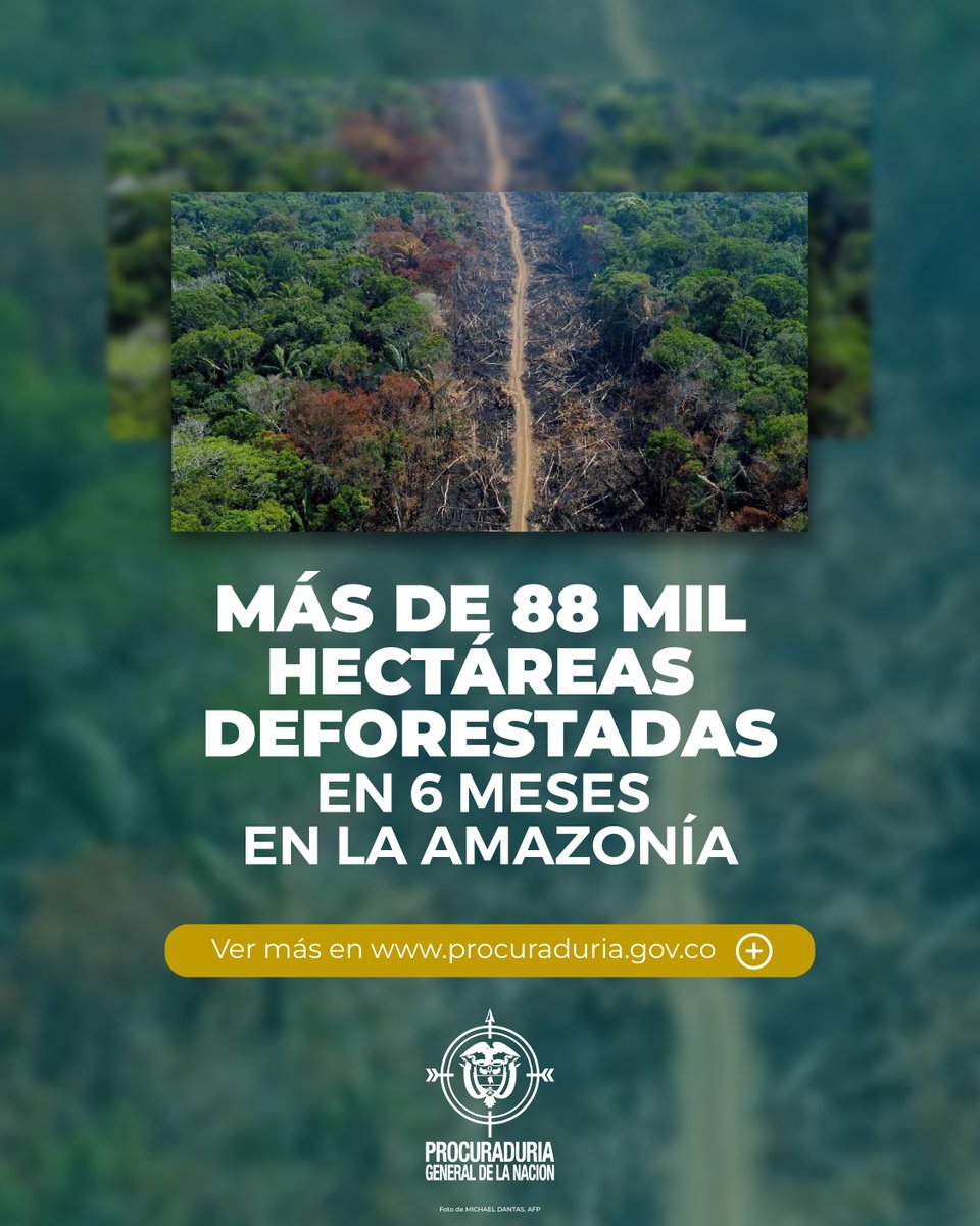Procuraduría General de la Nación (@pgn_col) on Twitter photo En solo 6 meses la Amazonía colombiana sumó más de 88 mil hectáreas de bosque deforestadas y 1.107 km de vías ilegales. La <a href="/PGN_COL/">Procuraduría General de la Nación</a> pidió a gobernaciones, alcaldías y autoridades ambientales información sobre las medidas adoptadas para frenar la situación t.ly/LJr1N En solo 6 meses la Amazonía colombiana sumó más de 88 mil hectáreas de bosque deforestadas y 1.107 km de vías ilegales. La <a href="/PGN_COL/">Procuraduría General de la Nación</a> pidió a gobernaciones, alcaldías y autoridades ambientales información sobre las medidas adoptadas para frenar la situación t.ly/LJr1N