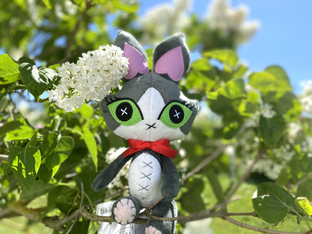 RenardAnimation's tweet image. So, this creature arrived today...
Preordered it half a year ago, nearly forgot about it!
I haven't touched FFXI/FFXIV in over a decade, but I was quite fond of Cait Sith and wanted this.
Thank you SquareEnix~🐈⬛