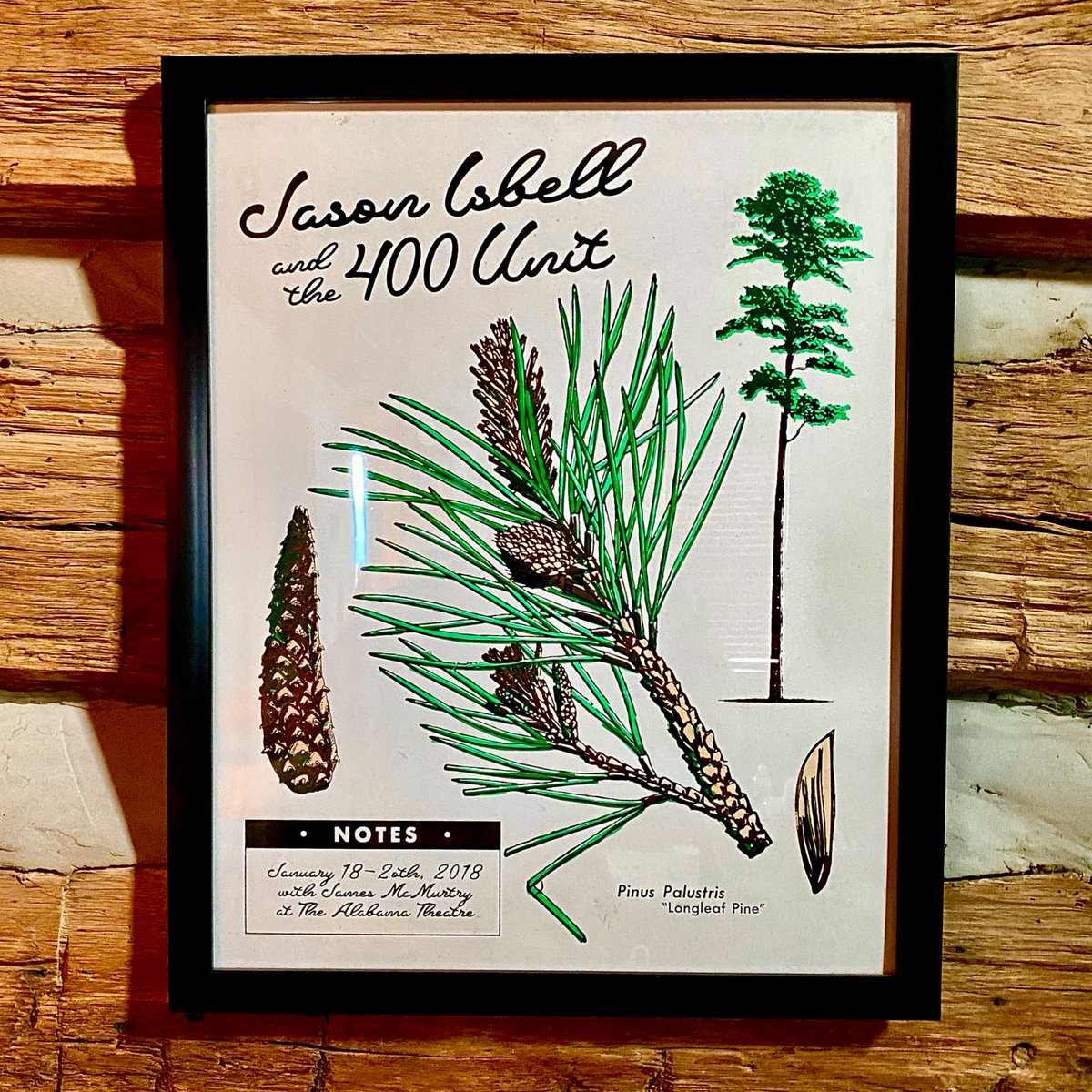 tansau's tweet photo. “And I tried to be some ancient kind of man — one that's never seen the beauty in the world. But I tried to chase it down; tried to make the whole thing mine. Somebody take me home, through those Alabama Pines.”
— Jason Isbell and the 400 Unit https://t.co/tM7DNX46GR