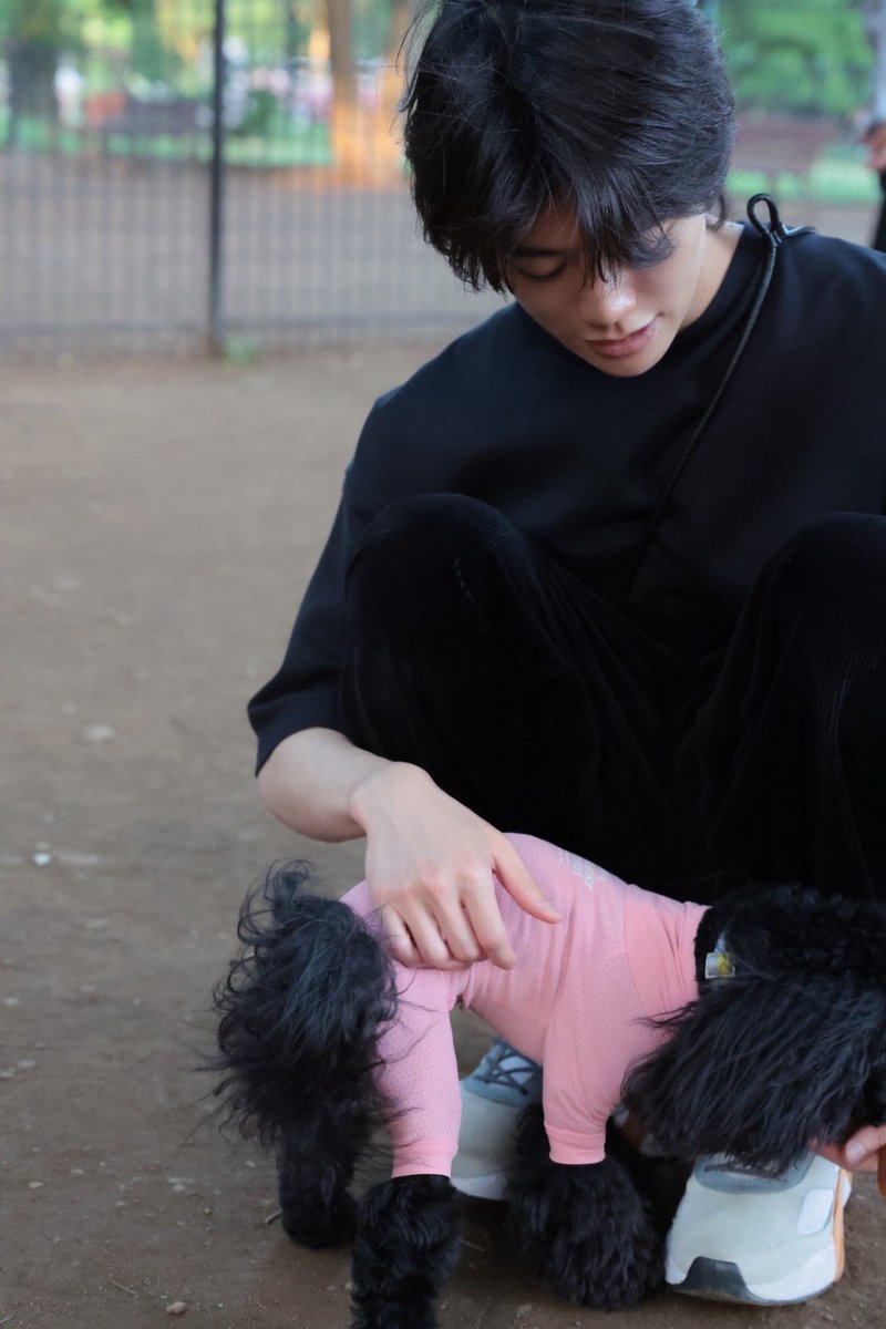 odakento_1's tweet photo. 散歩行ってすんごいカメラ持ったおっちゃんに撮ってもらいましたー！画質ヤバ https://t.co/Lk7hTh7b6j