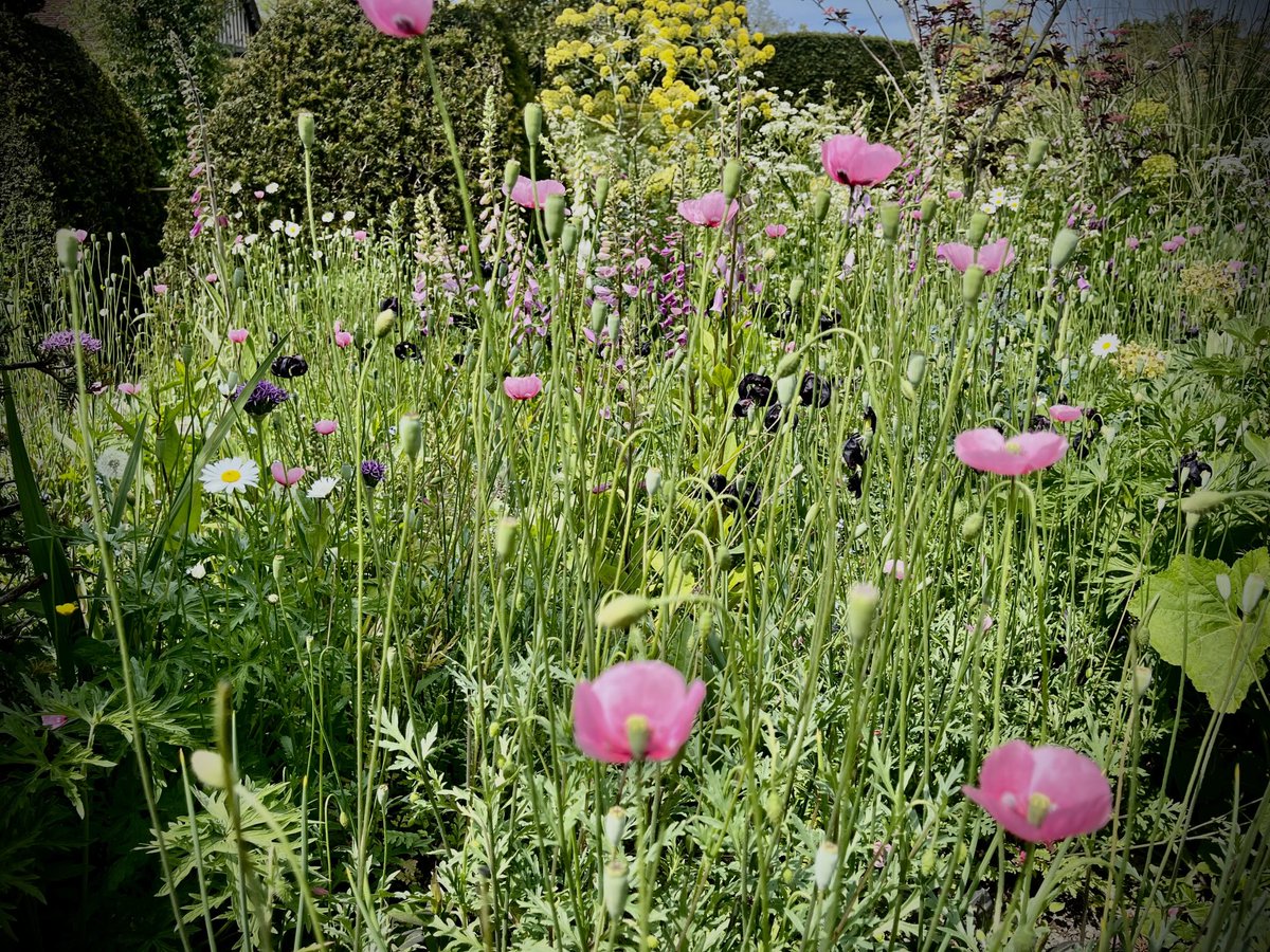 Catherine Russell tweet media